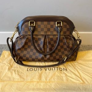Louis Vuitton Damier Ebene Trevi PM Shoulder Bag